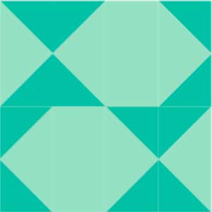 BH2 Block 20 Go Fish